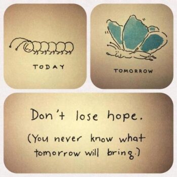 Caterpiller to butterfly progression - don't lose hope, you never know what tomorrow will bring