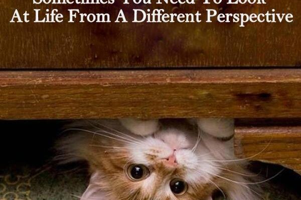 perspective